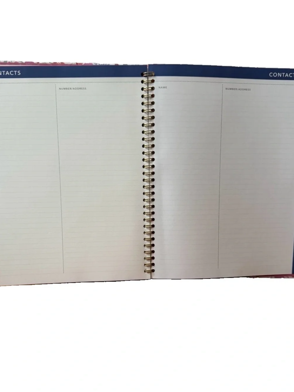 Clementine Paper inc.12 month Large Size Planner 11x9” Cat Pink Floral 2026-2027